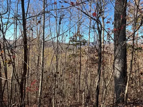 41 42 43 Ridges Hayesville NC 28904
