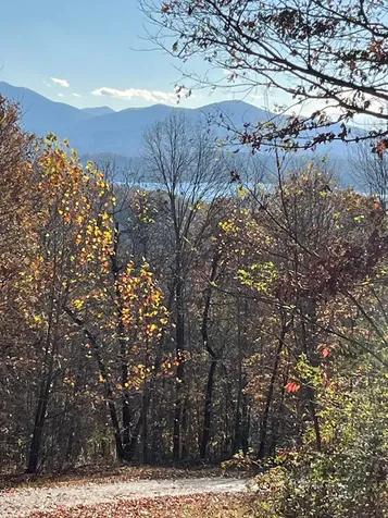 41 42 43 Ridges Hayesville NC 28904