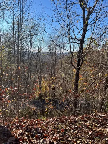 41 42 43 Ridges Hayesville NC 28904