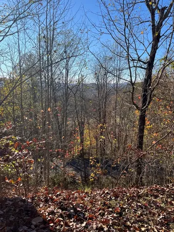 41 42 43 Ridges Hayesville NC 28904