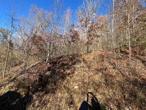 41 42 43 Ridges Hayesville NC 28904