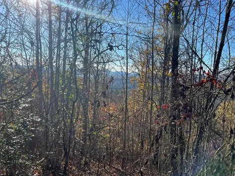 41 42 43 Ridges Hayesville NC 28904