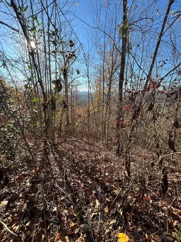 41 42 43 Ridges Hayesville NC 28904