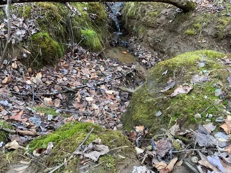 Lot 5 Ivy Log Road Murphy NC 28906
