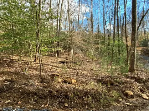 Lot 5 Ivy Log Road Murphy NC 28906