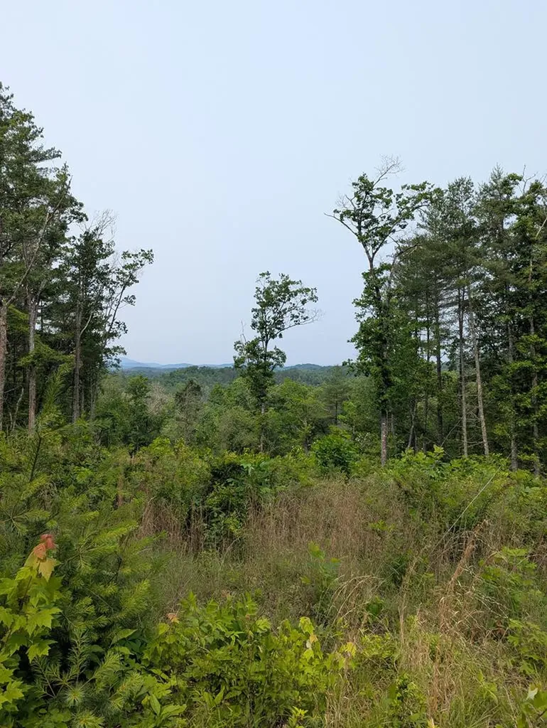 00 Martin Road Murphy NC 28906
