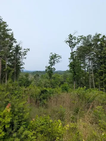 00 Martin Road Murphy NC 28906