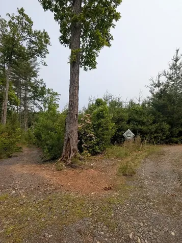00 Martin Road Murphy NC 28906