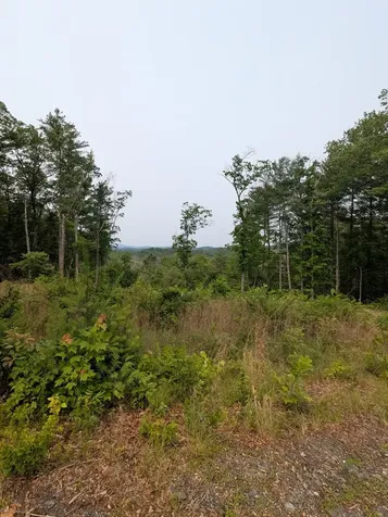 00 Martin Road Murphy NC 28906