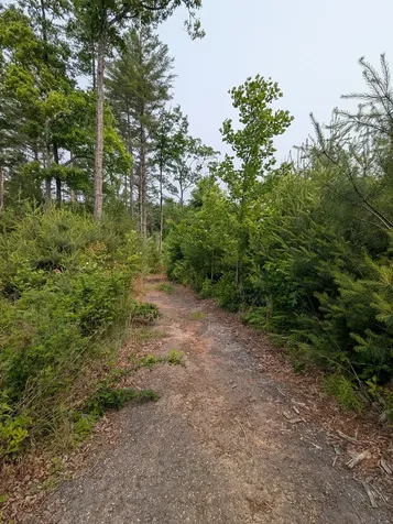 00 Martin Road Murphy NC 28906