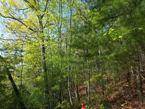 00 Indian Trail Robbinsville NC 28771