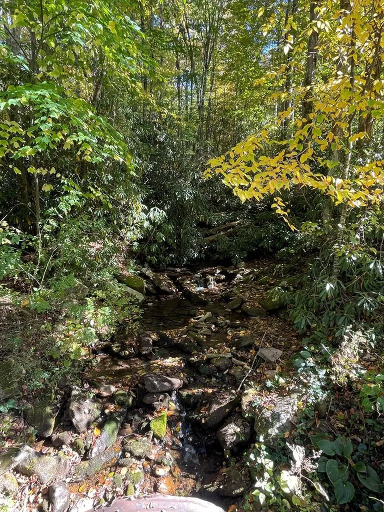 00 E Mill Creek Robbinsville NC 28771