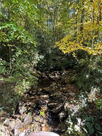 00 E Mill Creek Robbinsville NC 28771