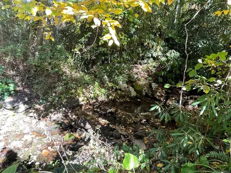 00 E Mill Creek Robbinsville NC 28771