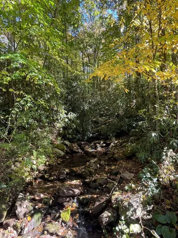 00 E Mill Creek Robbinsville NC 28771