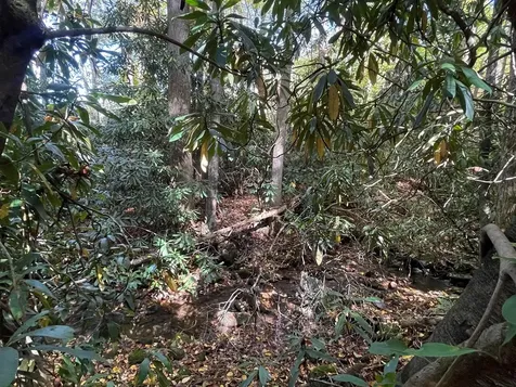 00 E Mill Creek Robbinsville NC 28771