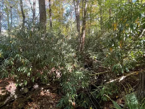 00 E Mill Creek Robbinsville NC 28771