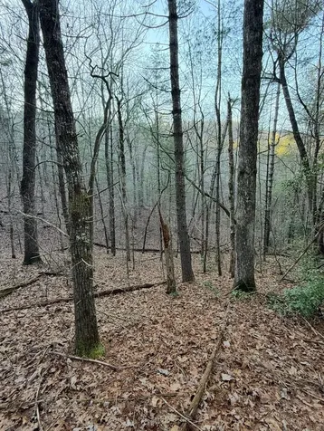 Tbd Grape Creek Road Murphy NC 28906