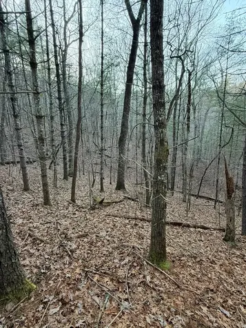 Tbd Grape Creek Road Murphy NC 28906