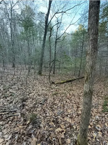 Tbd Grape Creek Road Murphy NC 28906