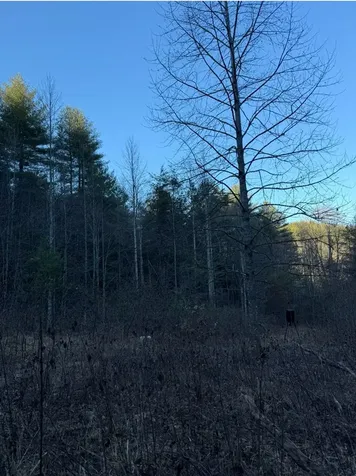 Tbd Grape Creek Road Murphy NC 28906