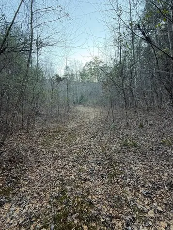 Tbd Grape Creek Road Murphy NC 28906