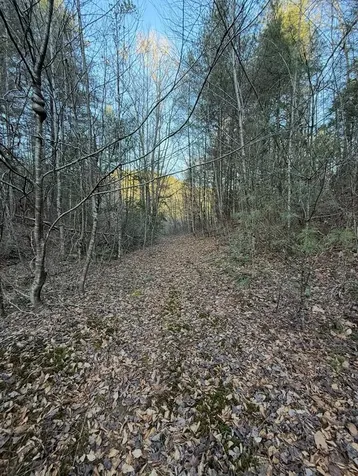 Tbd Grape Creek Road Murphy NC 28906