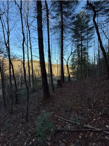 Tbd Grape Creek Road Murphy NC 28906