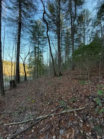 Tbd Grape Creek Road Murphy NC 28906