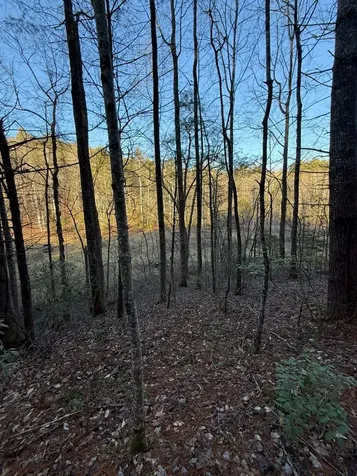 Tbd Grape Creek Road Murphy NC 28906