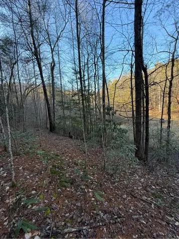 Tbd Grape Creek Road Murphy NC 28906