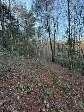 Tbd Grape Creek Road Murphy NC 28906