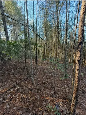 Tbd Grape Creek Road Murphy NC 28906
