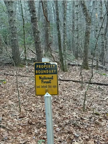 Tbd Grape Creek Road Murphy NC 28906