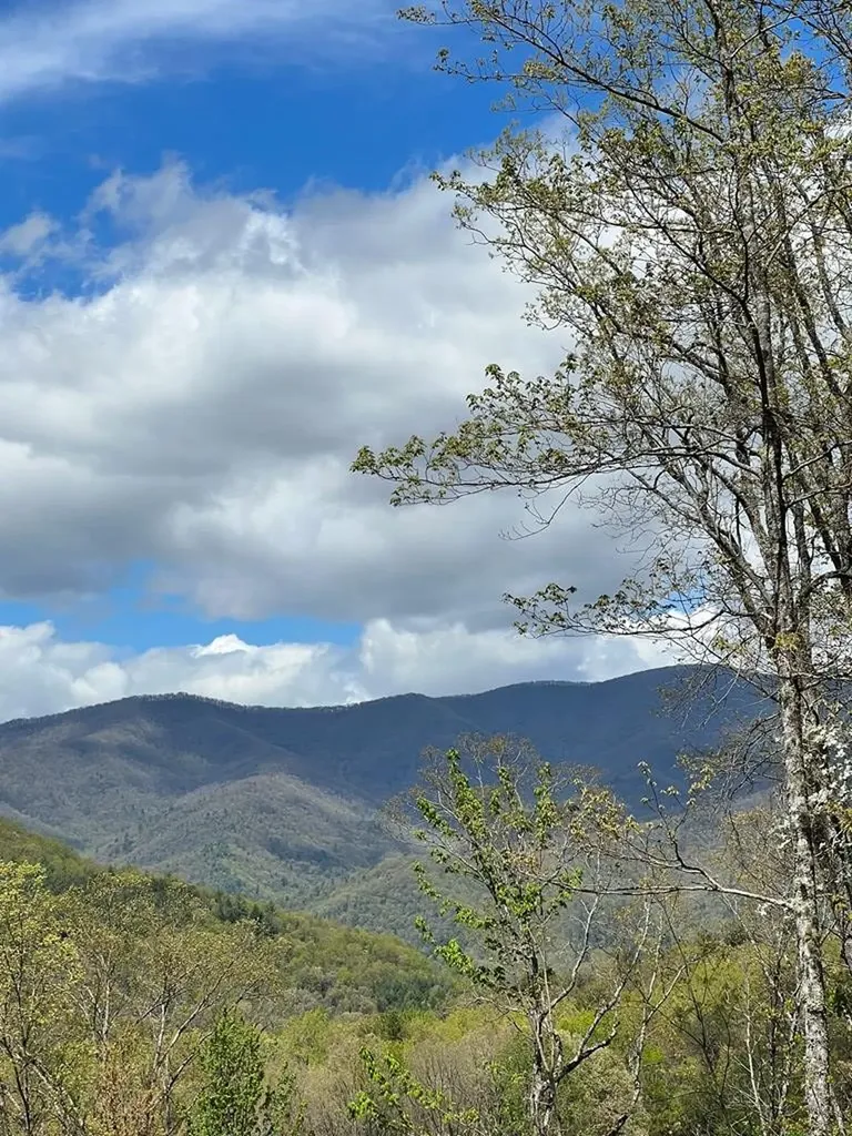 33 35 36 J Ash Branch Hayesville NC 28904