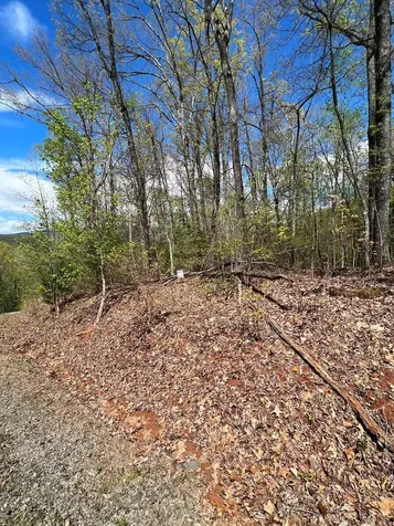 33 35 36 J Ash Branch Hayesville NC 28904