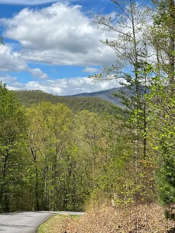 33 35 36 J Ash Branch Hayesville NC 28904