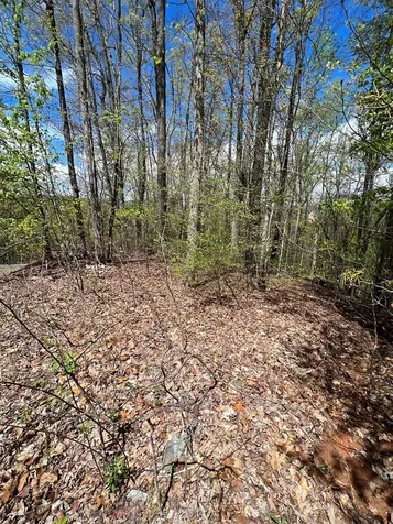 33 35 36 J Ash Branch Hayesville NC 28904