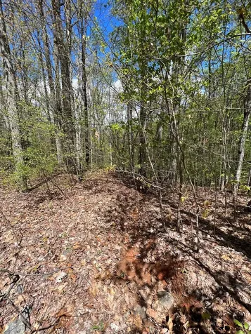 33 35 36 J Ash Branch Hayesville NC 28904