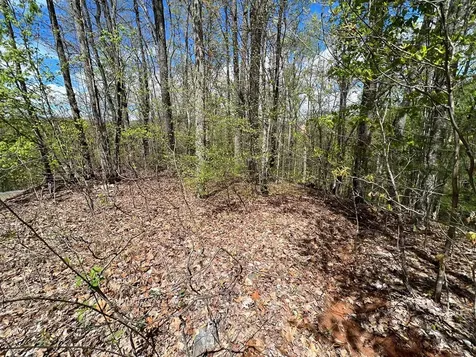 33 35 36 J Ash Branch Hayesville NC 28904