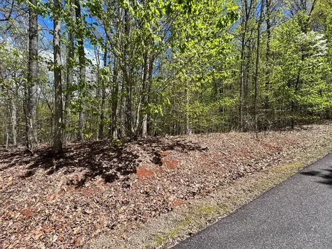 33 35 36 J Ash Branch Hayesville NC 28904