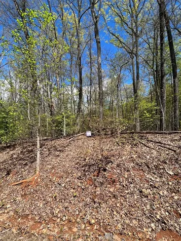 33 35 36 J Ash Branch Hayesville NC 28904