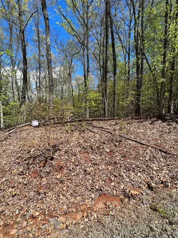 33 35 36 J Ash Branch Hayesville NC 28904