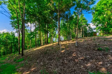 Tract 2g Mason Lane Brasstown NC 28902