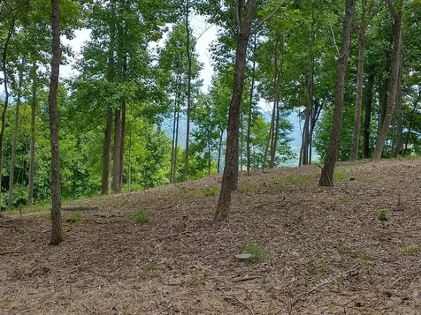 Tract 2g Mason Lane Brasstown NC 28902