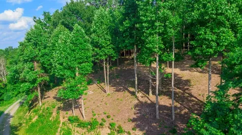Tract 2g Mason Lane Brasstown NC 28902