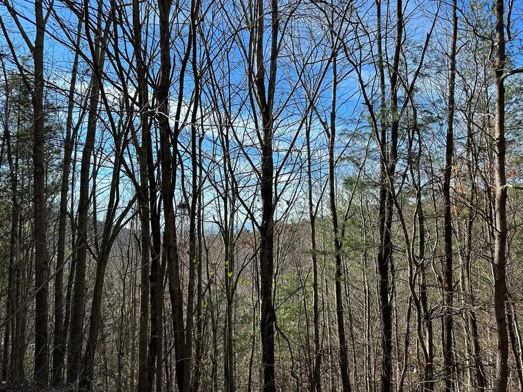 5 Lots Ali Drive Hayesville NC 28904