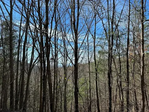 5 Lots Ali Drive Hayesville NC 28904