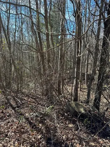 5 Lots Ali Drive Hayesville NC 28904