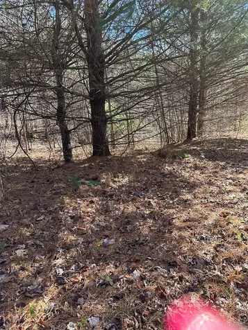 5 Lots Ali Drive Hayesville NC 28904